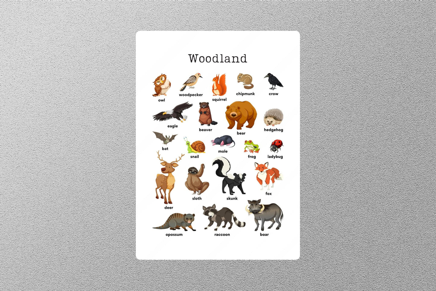 Woodland Education Sticker