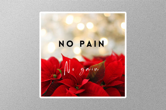 No Pain No Gain Inspirational Quote Sticker