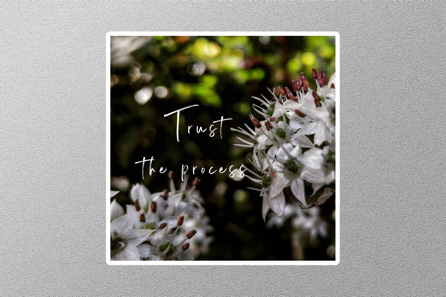 Trust The Procese Inspirational Quote Sticker