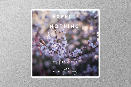 Expect Nothing Appreciate Everything Inspirational Quote Sticker