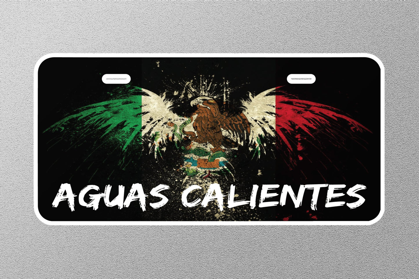AGUASCALIENTES Mexico Licence Plate Sticker