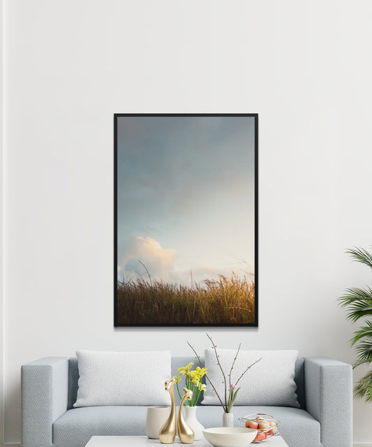 Brown Grass Field Under White Cloudy Sky Poster - Matte Paper