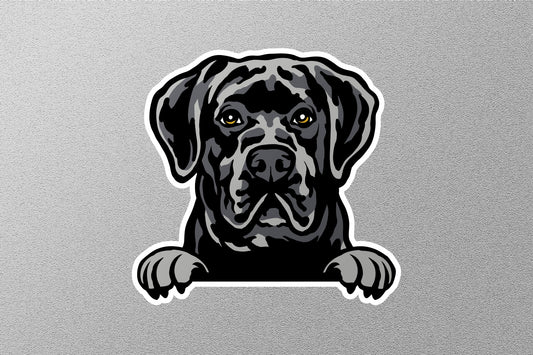Wholesale Labrador Retriever Sticker
