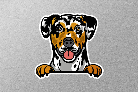 Dalmatian Dog Sticker