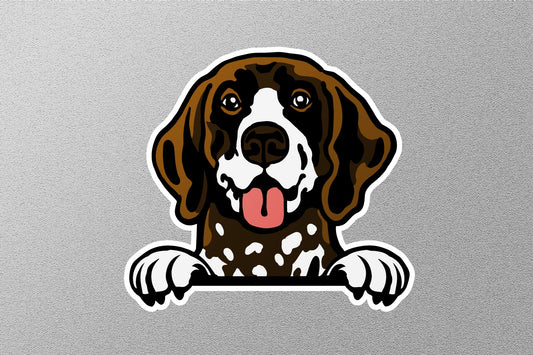 English Pointer Dog Sticker