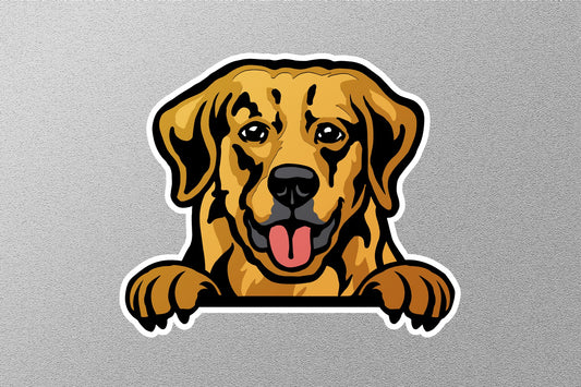 Labrador Dog Sticker