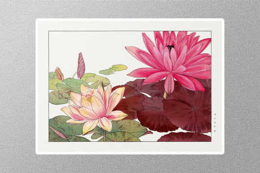 Nymphaea Lotus Art Dozen Sticker