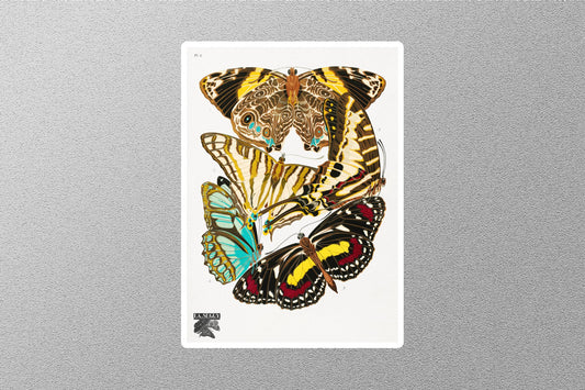 Butterflies E.A. Séguy Sticker