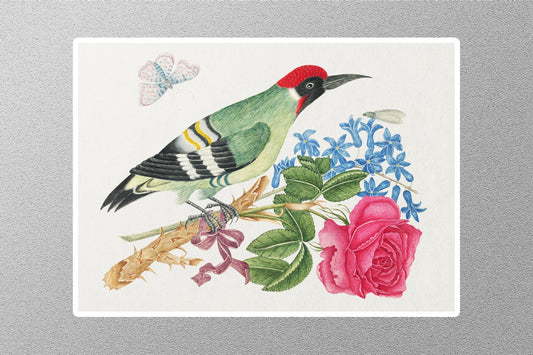 European Green Woodpecker on a Branch with Rose Baadj Toufik Sticker