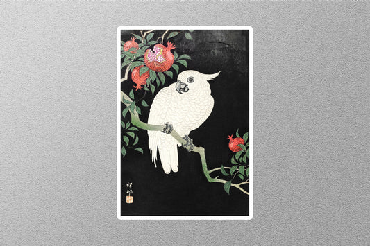 Cockatoo and Pomegranate Sticker