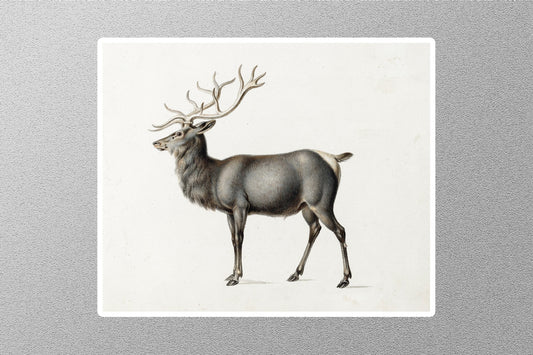 Peter Rindisbacher Elk Drawing Sticker