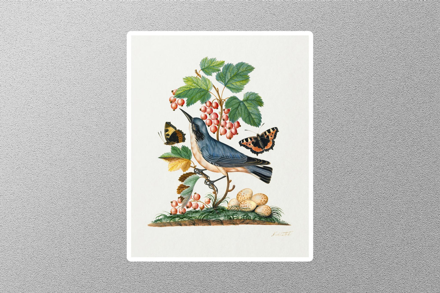 Red Admiral James Bolton Sticker