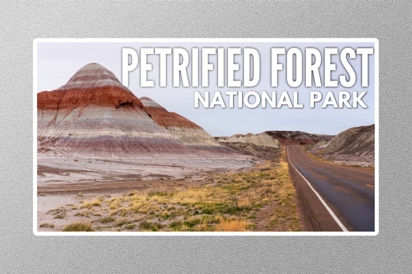 Petrified Forest National Park 4 Travel Sticker