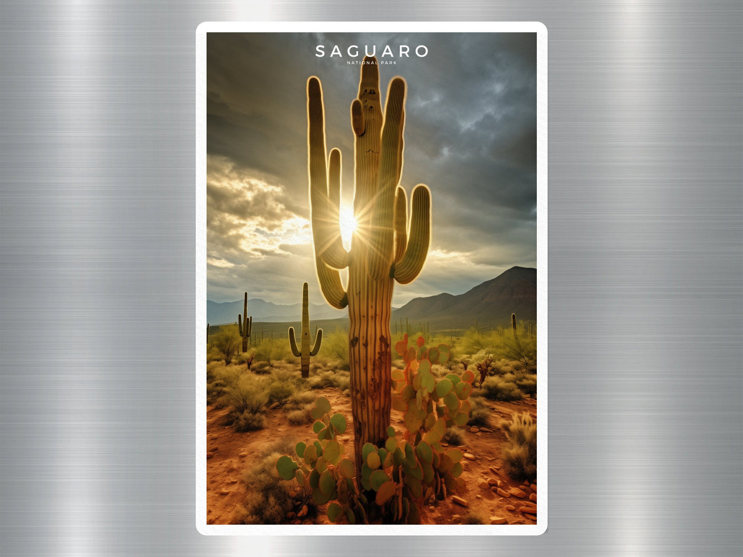 Saguaro National Park Sticker