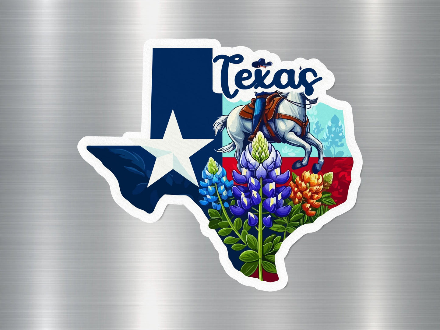 Texas State Sticker