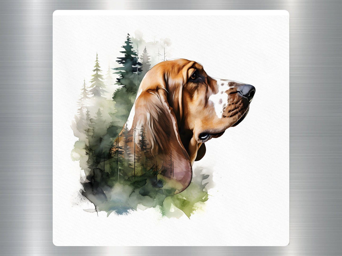 Basset Hound Dog Sticker