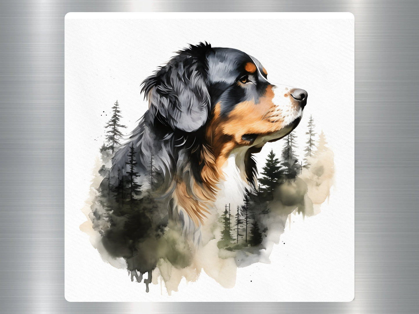 Bernese Mountain Dog Sticker