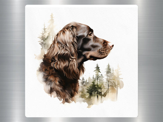 Boykin Spaniel Dog Sticker