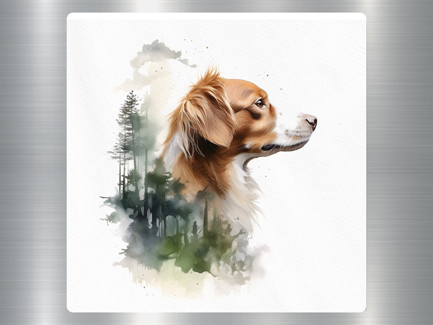 Kooikerhondje Dog Sticker