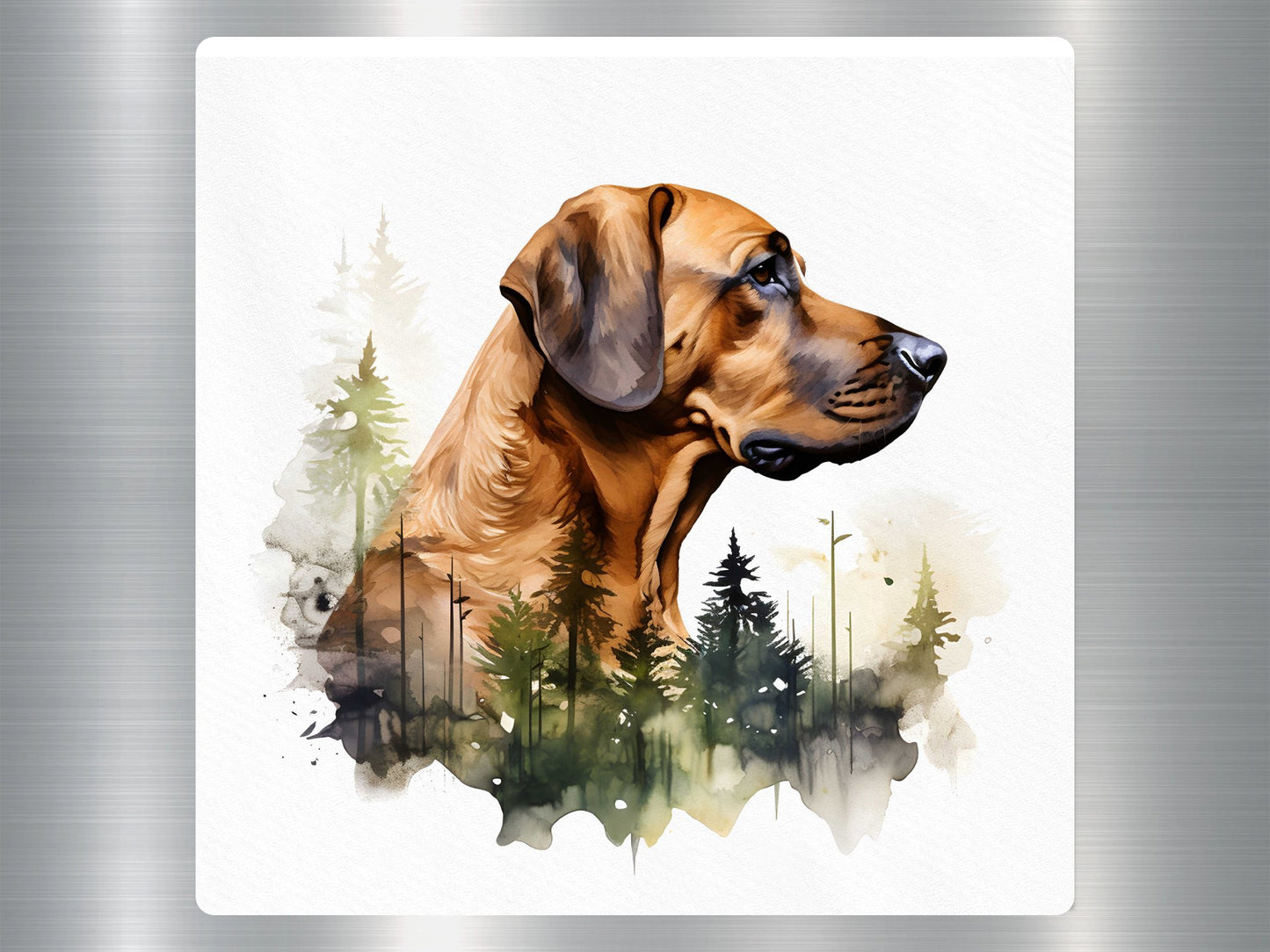 Rhodesian Ridgeback Dog Sticker