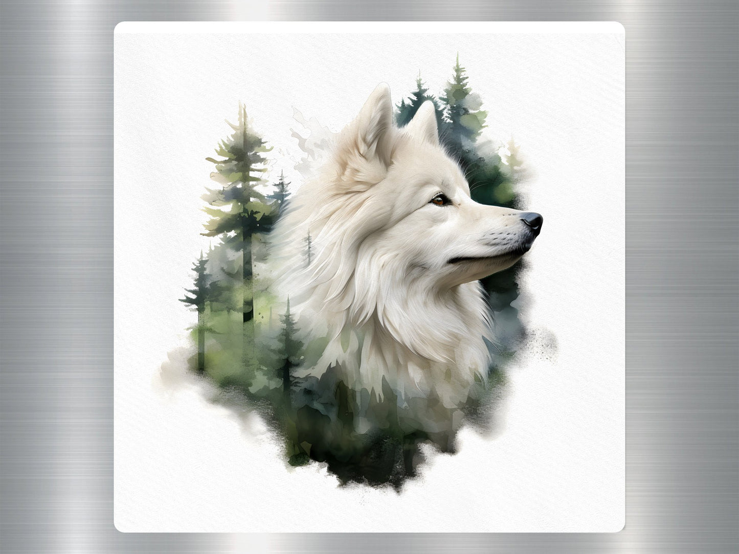 Samoyed Dog Sticker