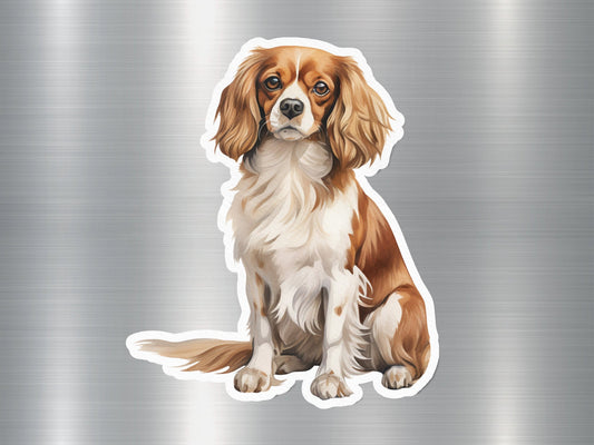 Cavalier King Charles Spaniel Dog Sticker