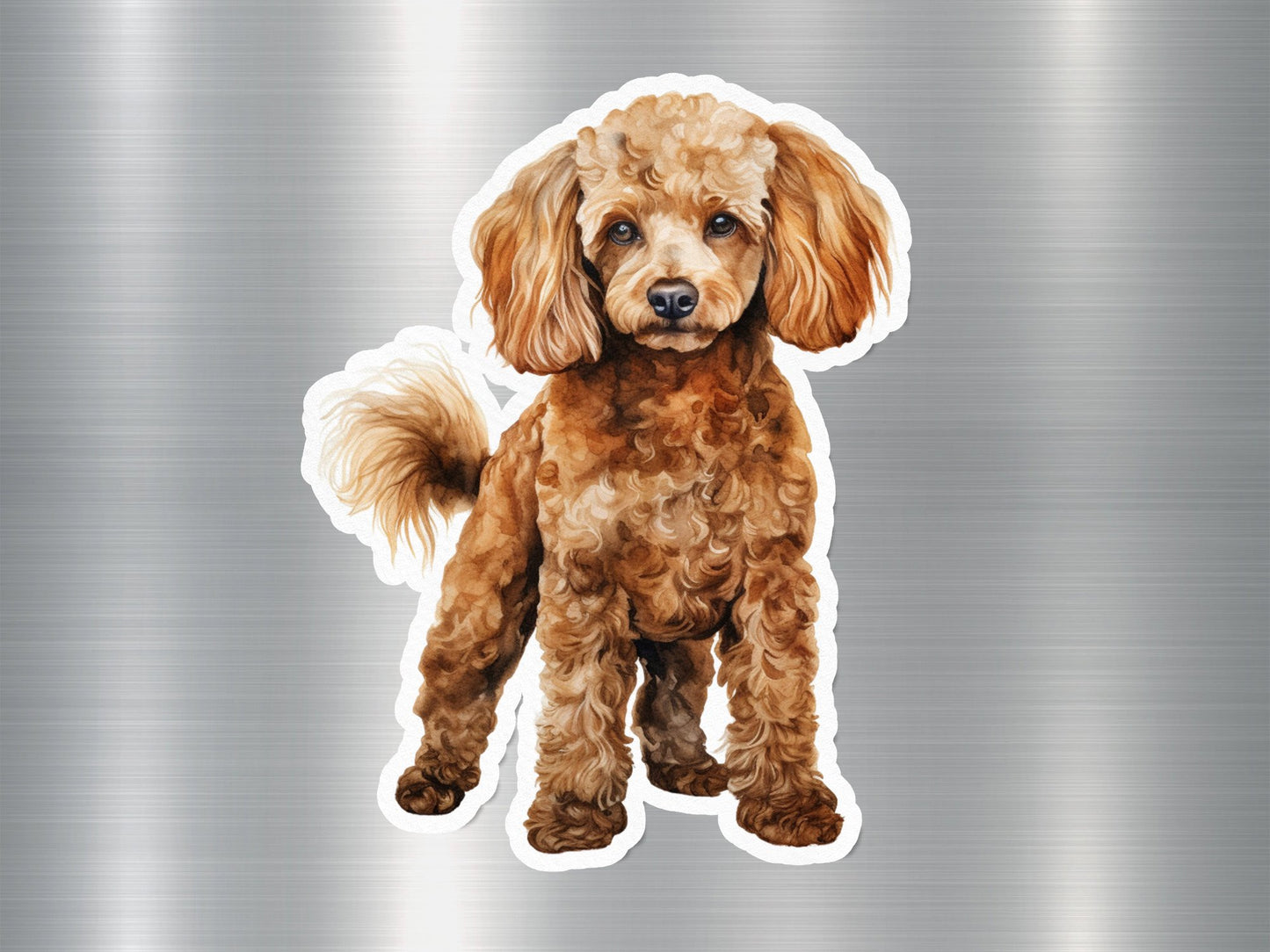 Toy Poodle Dog Sticker