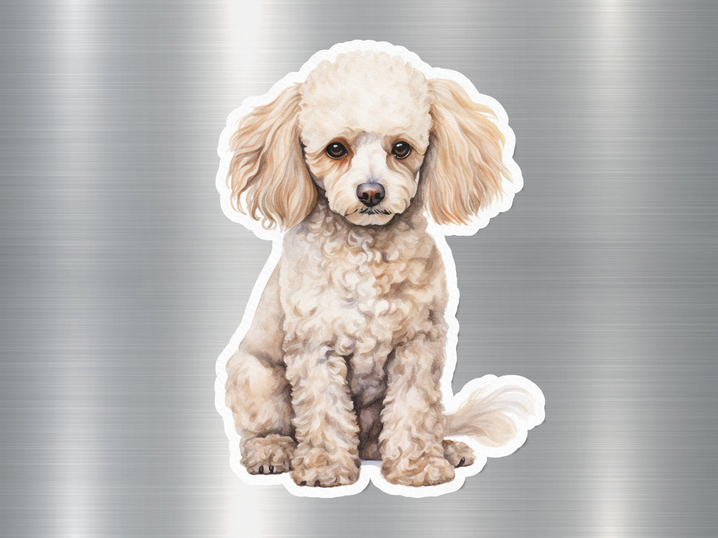 Miniature Poodle Dog Sticker