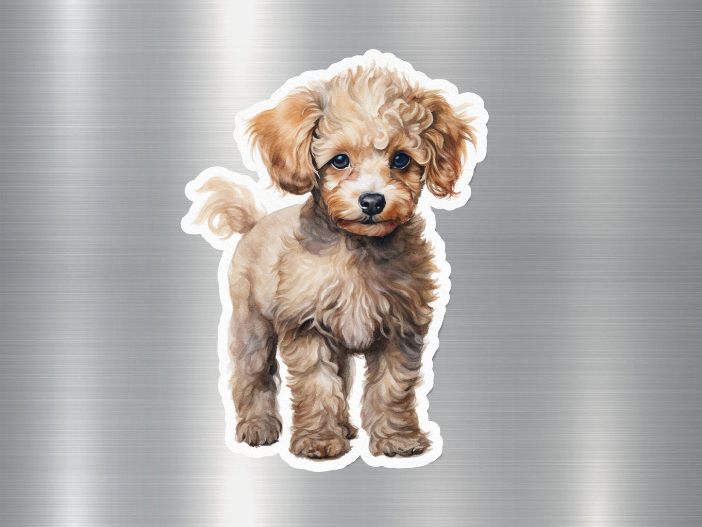 Cute Adorable Toy Poodle Dog Sticker