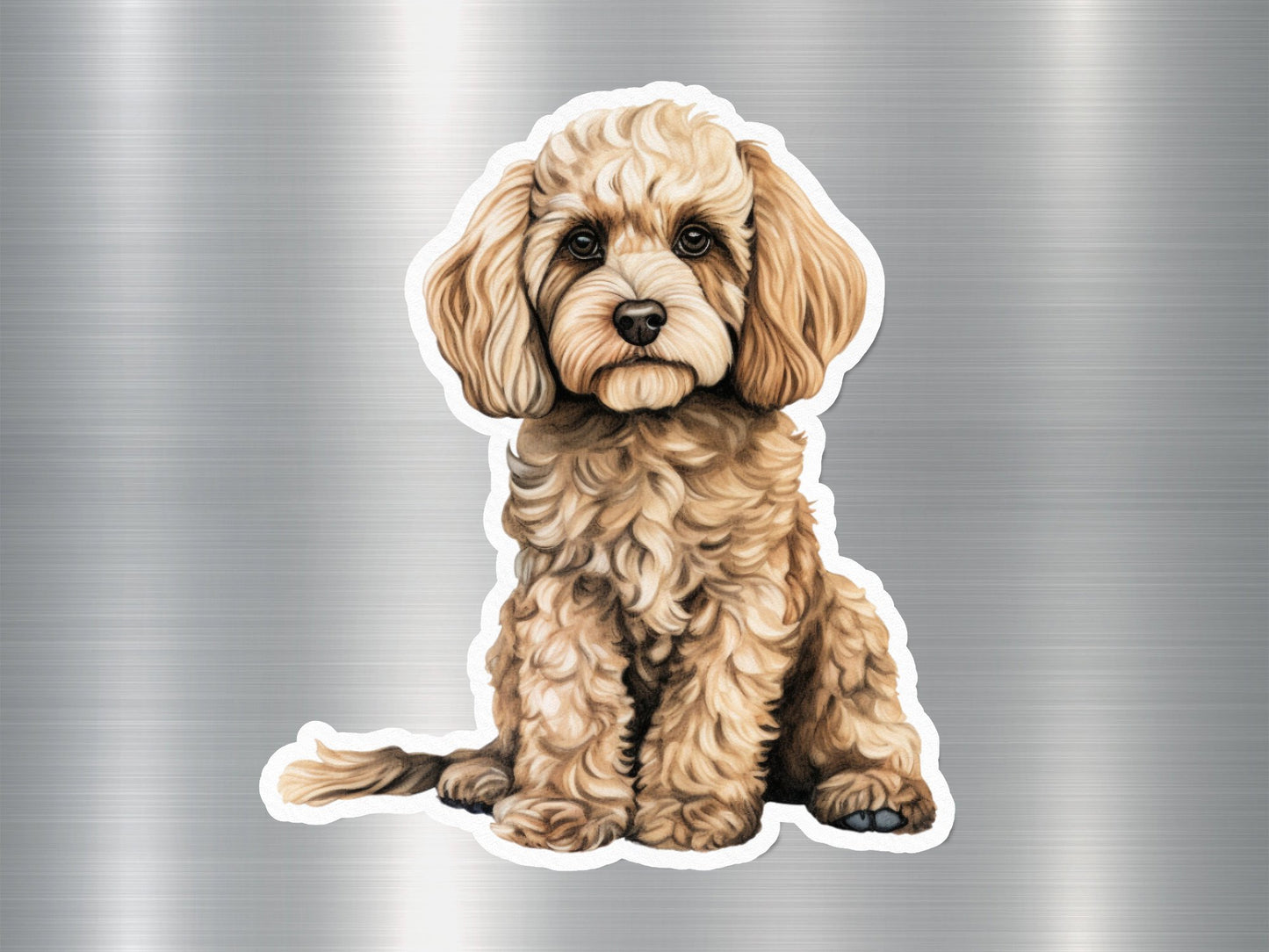 Angry Cockapoo Dog Sticker