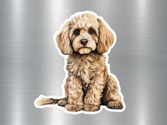 Angry Cockapoo Dog Sticker