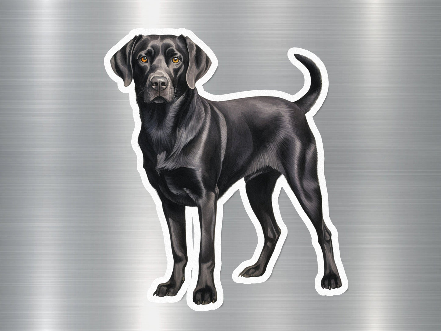 St. John's Water Dog Sticker