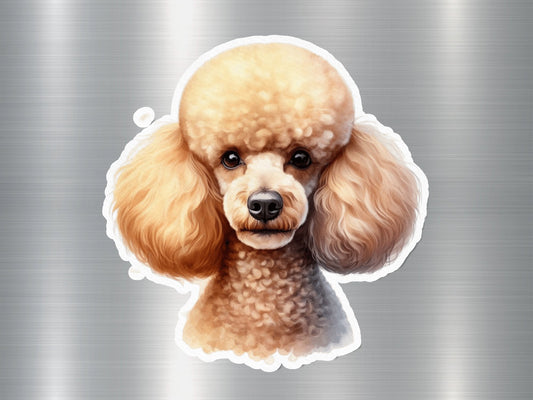 Miniature Poodle Dog Sticker