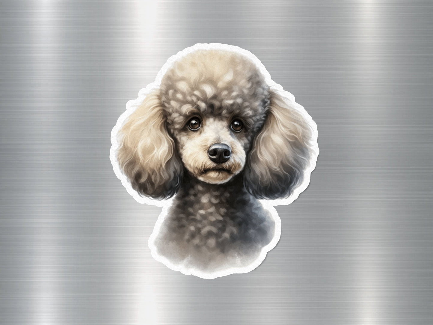 Miniature Poodle Breed Dog Sticker