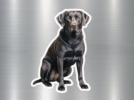 Black Labrador Retriever Breed Dog Sticker