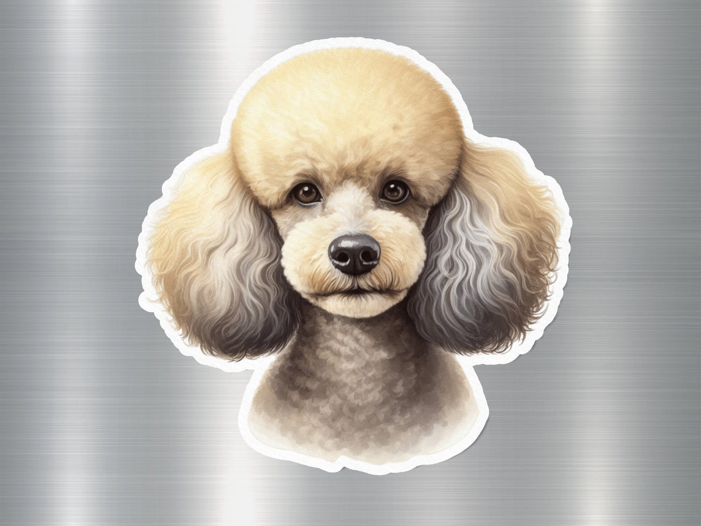 White Miniature Poodle Dog Sticker