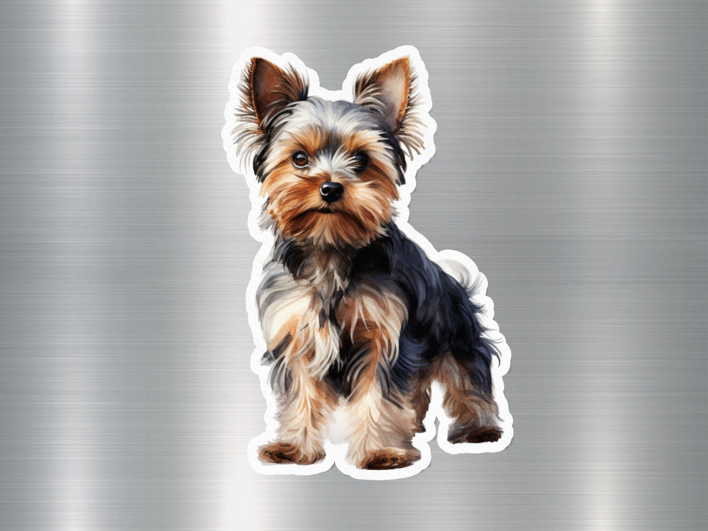 Biewer Terrier Dog Sticker