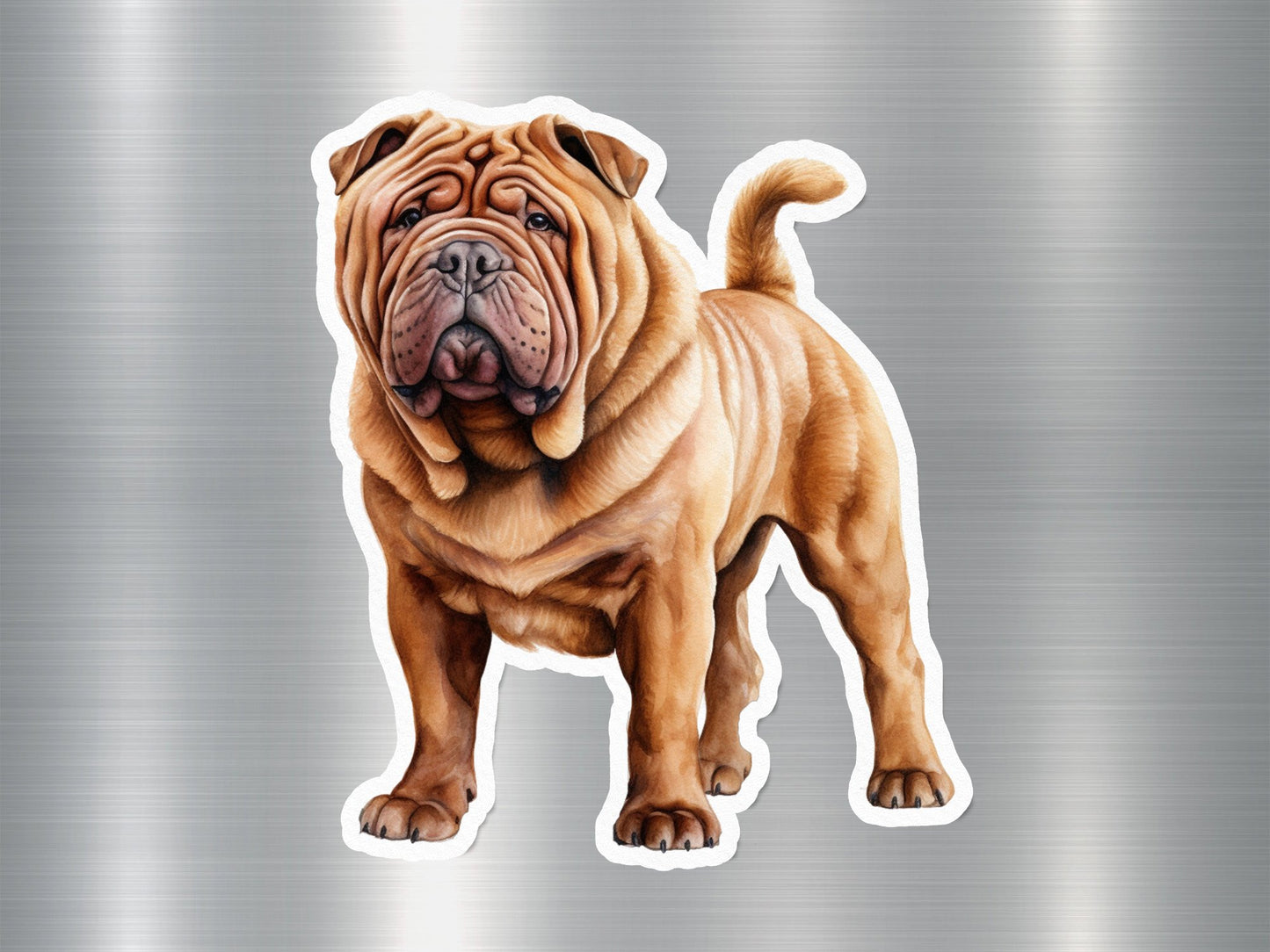 Shar Pei Dog Sticker