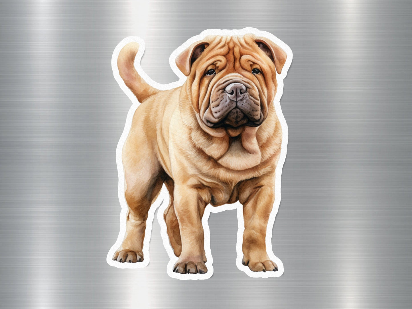 Angry Shar Pei Dog Sticker