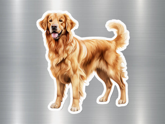 Golden Retriever Breed Dog Sticker