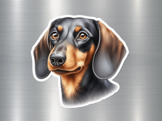 Dachshund Breed Dog Sticker