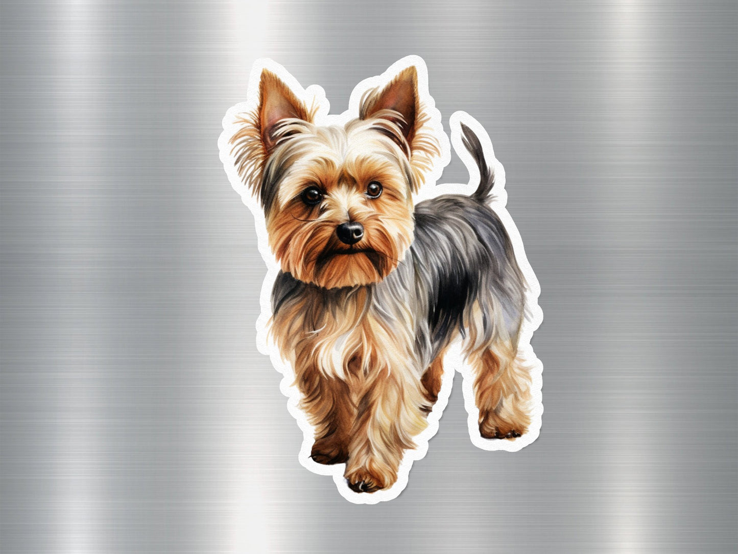 Angry Silky Terrier Dog Sticker