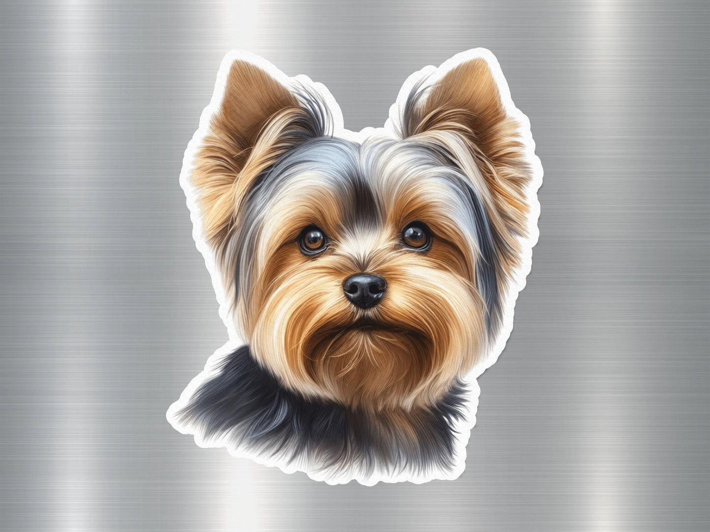 Wholesale Biewer Terrier Dog Sticker