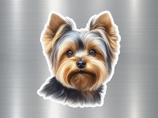 Biewer Terrier Dog Sticker