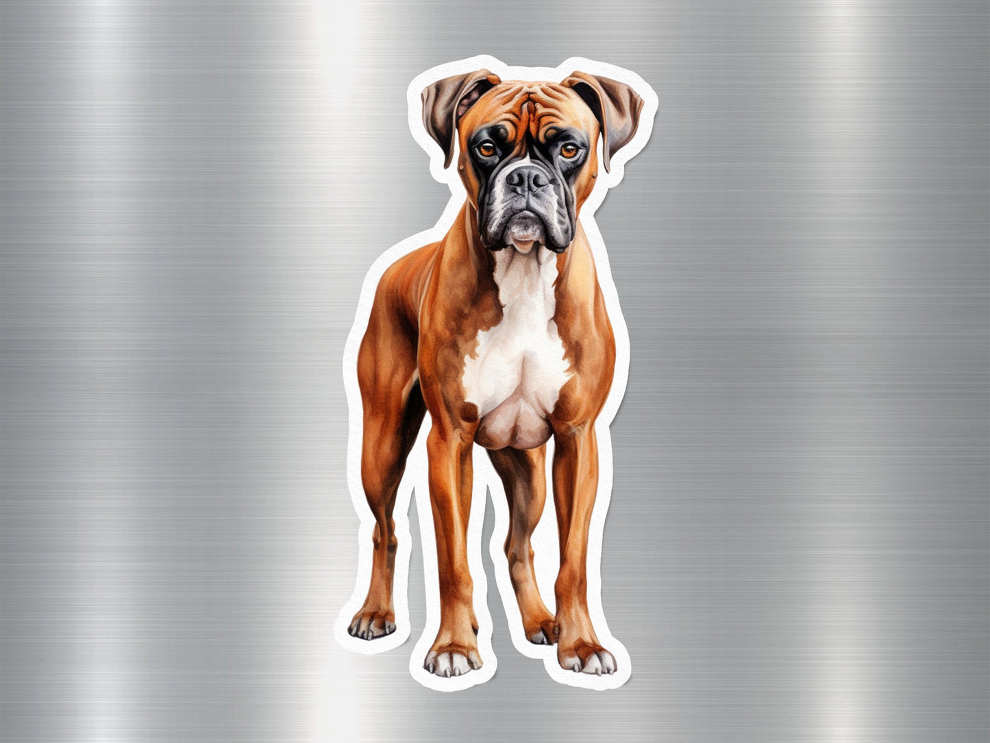 Angry Cute Boxer Dog Sticker