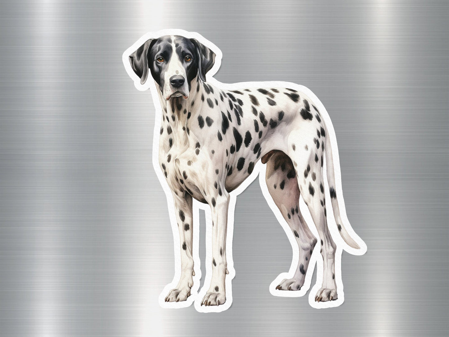 Dalmatian Breed Dog Sticker