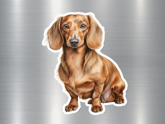 Cute Dachshund Dog Sticker