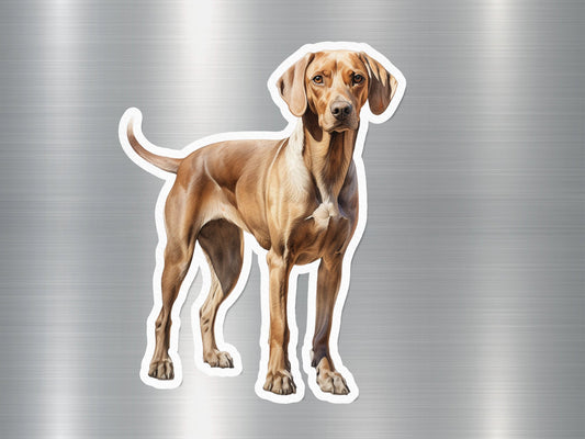 Vizsla Dog Sticker