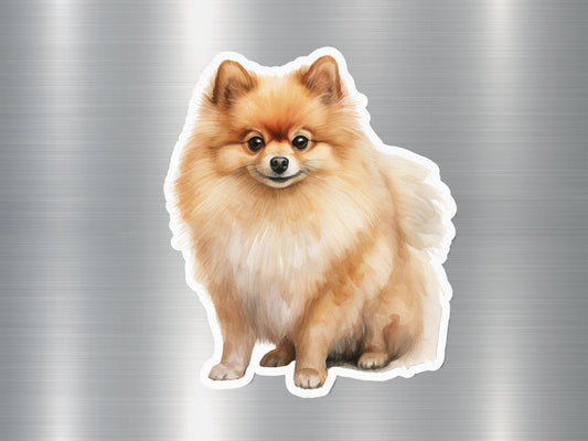 Pomeranian Dog Sticker