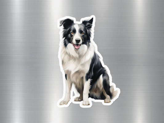 Scotch Collie Dog Sticker